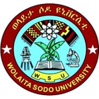 wolaita sodo university logo - Similar company to Higher Education Marketing