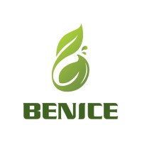 beniceir logo - Similar company to Farda Informatics