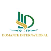 DOMANTE INTERNATIONAL logo - Similar company to Marang Business Solutions