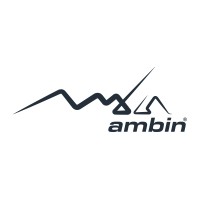Ambinskis logo - Similar company to Softplace Srl