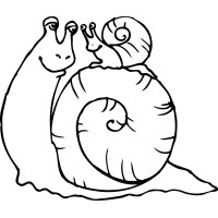 Western Cape Snail Farming logo - Similar company to Snail