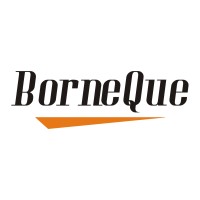 BorneQue logo - Similar company to Mxcharge Technologies Private Limited