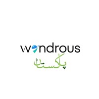 Wondrous Pakistan logo - Similar company to Joe Wanderlust