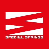 Special Springs Brasil logo - Similar company to Royme
