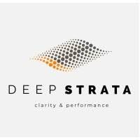 DEEPSTRATA logo - Similar company to Server Partners