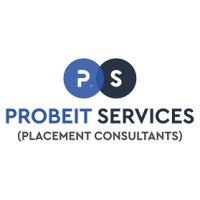 Probeit Services logo - Similar company to Probe I.T