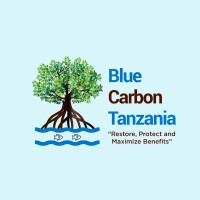 Blue Carbon Tanzania (BCT) logo - Similar company to Blue Bytes
