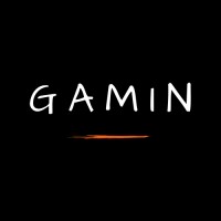 GAMIN logo - Similar company to Gamin.Gg
