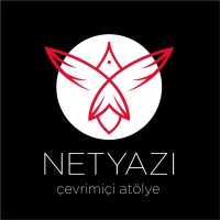 Netyazi logo - Similar company to Visionary Women'S Association