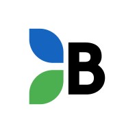 Braga Estrategias Financieras