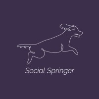 Social Springer logo - Similar company to Social Knowbility