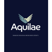 Aquilae logo - Similar company to Aquilae Consulting Group