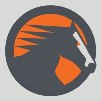 PonyPay logo - Similar company to Elevature