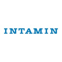 Intamin logo - Similar company to Echteworst.Nl