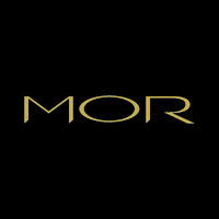 MOR Boutique logo - Similar company to Dermalume