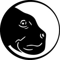 DUGONG INTERNATIONAL logo - Similar company to Dugongo