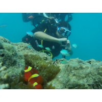 Ankita's Travel World logo - Similar company to Backbone Placement