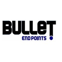 Bulletendpoints Enterprise Inc logo - Similar company to Bläckfisk