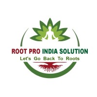 RootPro India Solutions logo - Similar company to Leas Lab Inc.