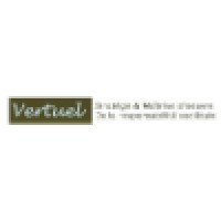 Vertuel logo - Similar company to Soluflam