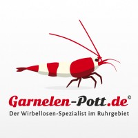 Garnelen-Pott.De