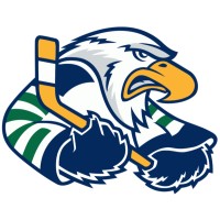 Surrey Eagles Hockey Team logo - Similar company to Coquitlam Express