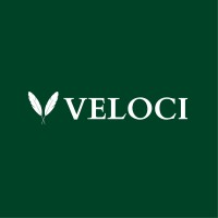Veloci Running logo - Similar company to Activ Sports Summit