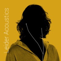 Leider Acoustics logo - Similar company to Link To Vr