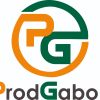 Prod Gabon logo - Similar company to Pr Mind Consulting