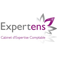 EXPERTENS logo - Similar company to Vvexpertise