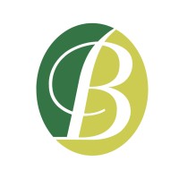 Borsari Group logo - Similar company to Fb Engineering