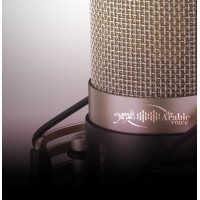 THE ARABIC VOICE™ studios logo - Similar company to ِArabic Transcraft