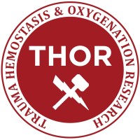 THOR Network Foundation logo - Similar company to The Allo Hope Foundation