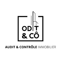 ODIT & CÔ logo - Similar company to Ita Executive Groupe