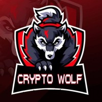 Crypto Wolf logo - Similar company to Interactively