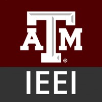 Institute For Engineering Education & Innovation