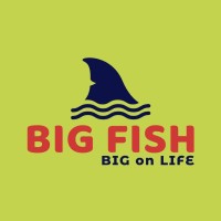 Big Fish Finvisory logo - Similar company to Tradzy