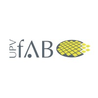 UPVfab Micro-fabrication pilot line logo - Similar company to Awsensors