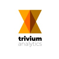 Trivium Analytics logo - Similar company to Shane Tours