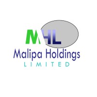 Malipa Holdings Limited logo - Similar company to Plem Construction Ltd.