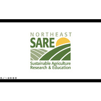 Northeast SARE logo - Similar company to Sa Ink