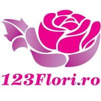 123Flori.ro