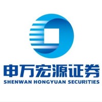 Shenwan Hongyuan Securities Co., Ltd. logo - Similar company to Shenwan Hongyuan (H.K.) Limited