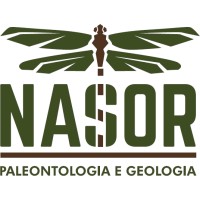 NASOR - Paleontologia e Geologia logo - Similar company to Iphes-Cerca Institut Català De Paleoecologia Humana I Evolució Social