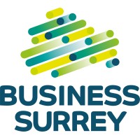 Business Surrey logo - Similar company to Fabulous Networking