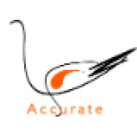 Accurate Network of Consultants logo - Similar company to Dialektos - L'Anglais 10X Plus Vite !