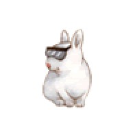 Cool White Bunnie Productions