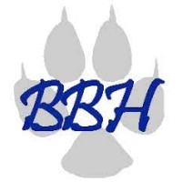 Billy Bear Hug Foundation