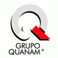 Quanam México logo - Similar company to It Grupo