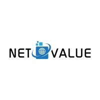 Net Value logo - Similar company to Netvalue Ltd
